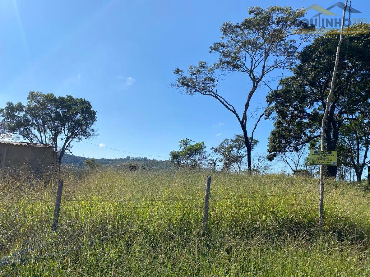 WhatsApp Image 2025-05-08 at 10.31.24 (1).jpeg